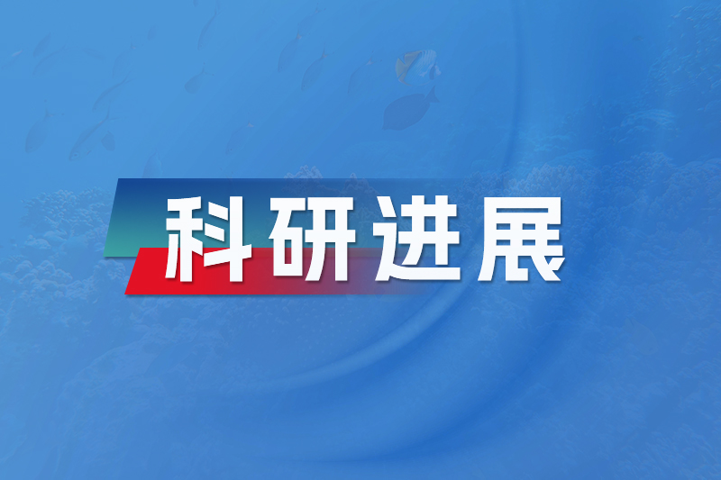 科研进展-FM