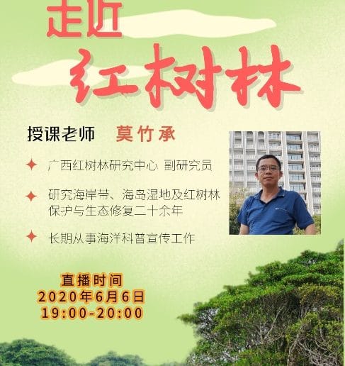 走进红树林-487x516