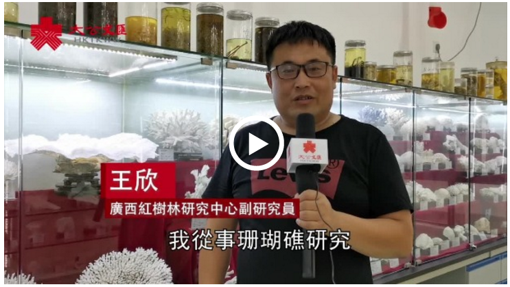 295O@A3VSR@TEJCLNYUJD