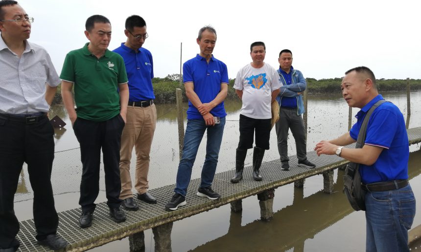 wankewangshi2-860x516