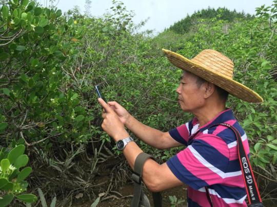 10人荣膺2019年广西“最美科技工作者”-