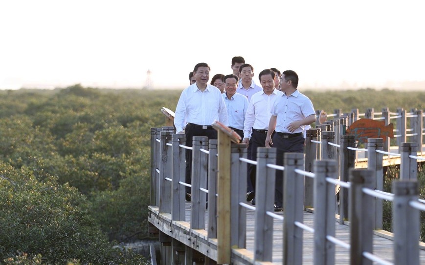 W020170420358128417728-1