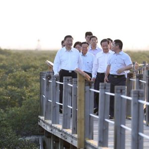 General secretary Xi visit the Mangrove in Beihai and leave a message:“ Well constructing the Marine biodiversity Wetland Ecological Area ”