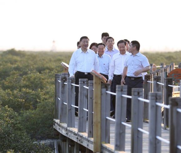 General secretary Xi visit the Mangrove in Beihai and leave a message:“ Well constructing the Marine biodiversity Wetland Ecological Area ”