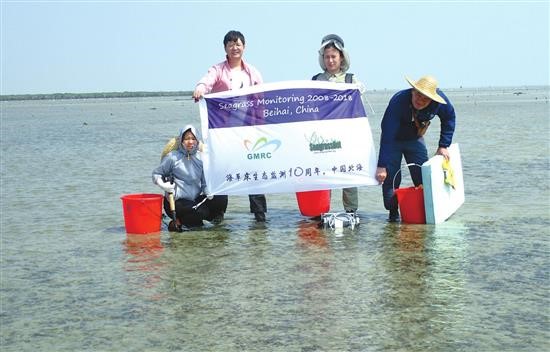 科研人员十年砥砺前行 持续开展海草监测工作