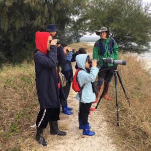 Mangrove Tour of Primary School Students from Beijing in Beihai