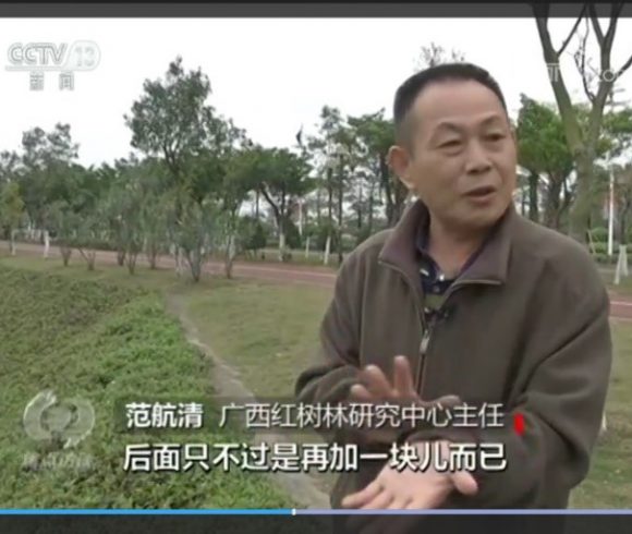 Professor Fan Hangqing was interviewed by “Topics in Focus” about Mangroves